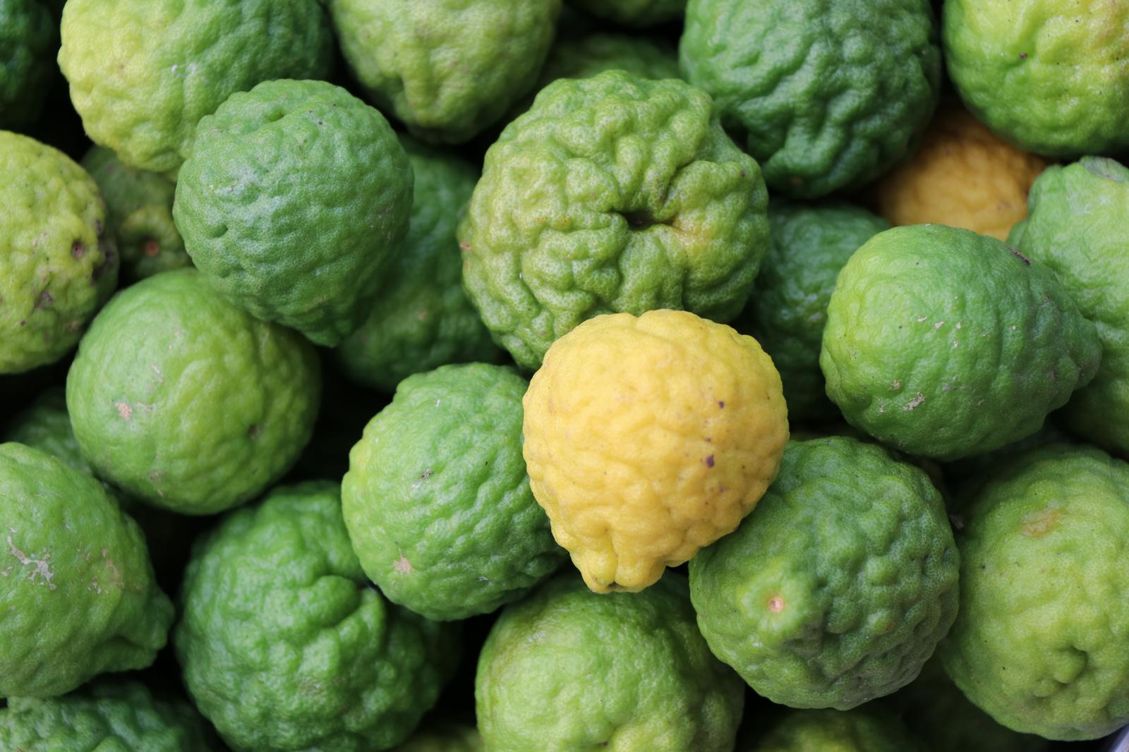 Bergamotto: Il Profumo del Benessere – Scopri i Segreti e le Virtù di questa Miracolosa Erba Aromatica