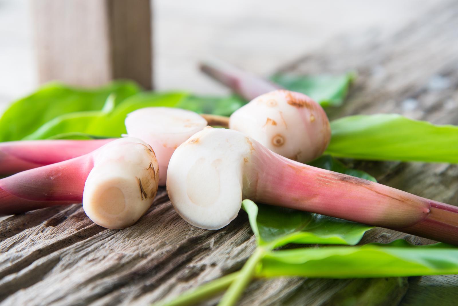 Galanga: La Radice Esotica che Sta Rivoluzionando la Cucina Salutistica e la Medicina Naturale!